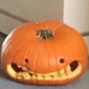 Meet your Posher, Layla